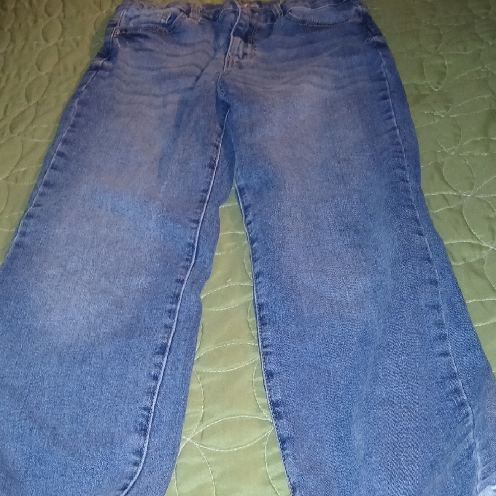 Jordache Blue Straight-Leg Jeans